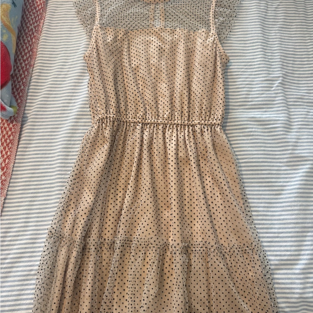 Crystal Doll Nude Dress with Black Polka Dots